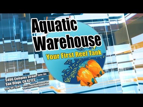 Your First Reef Tank
