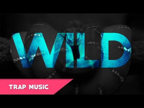 Kevin Hunter - Wild Life | Absolute Crazy Trap Music 2017 (Instrumental) [HD/HQ]
