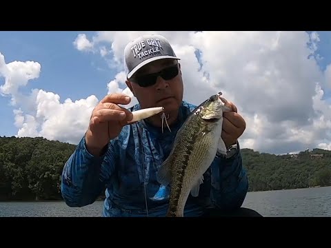 Spro E-Pop Topwater & Spot Choker Underspin. Catching Spotted Bass.