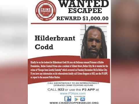 Where is Escaped Prisoner Hildebrandt Codd?
