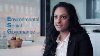 How does the ESG-analysis work in practice?