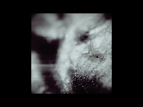 PREMIERE: Salah - Leap [Aarden Records]