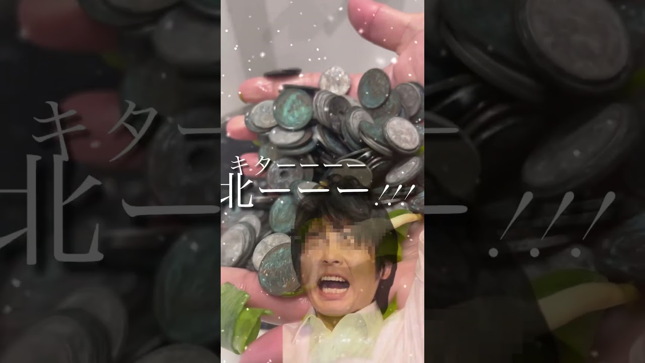 倉科カナさんの好きな人について考察する #ごっちゃん #小銭