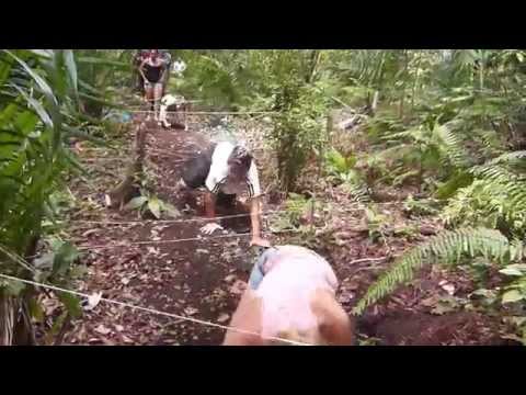 Rastejamento - Família Azul