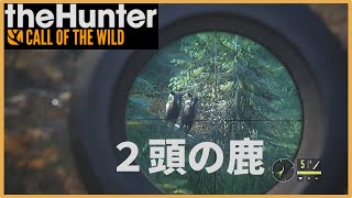 【theHunter】恩を仇で返す野生の鹿