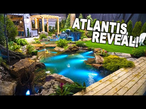 *CUSTOM INDOOR POND REVEAL* from Atlantis Water Gardens