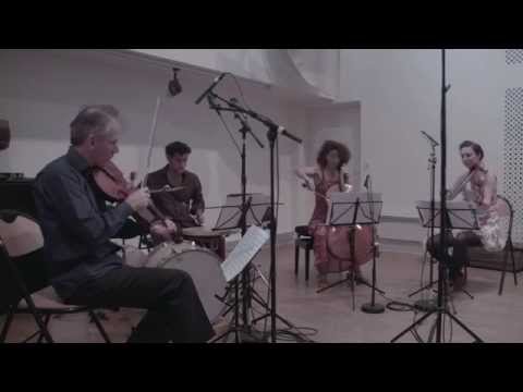 The Book of Angels Project : John Zorn/Garth Knox