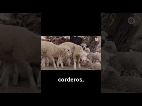 📍Santa Catalina - Jujuy