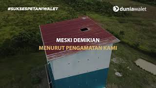 Download lagu BUDIDAYA BURUNG WALET DAN IKAN ARWANA mp3 Download lagu BUDIDAYA BURUNG WALET DAN IKAN ARWANA mp3
