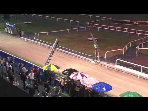 2022 Boylesports Champion Stakes Final | Greyhound Racing | Ireland Replay & Reaction