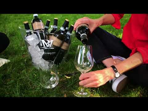 Chardonnay chcemVINO!s.