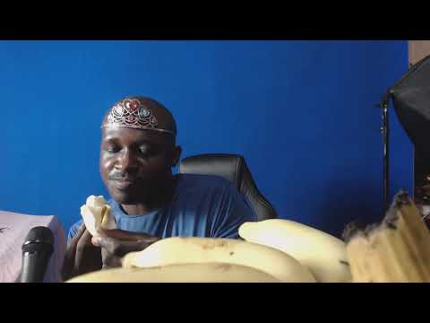 2 bananes à la peau Jaune et au fruit blancs déguster aux frissons et à la chair de poule