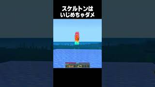 スケルトンはいじめては行けない #minecraft