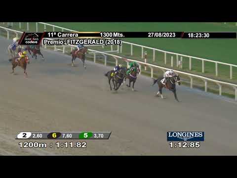 230827 c11 MIRACLE (BRZ)