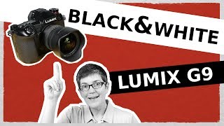 Black and White mode Panasonic Lumix G9 GX9 GH5: Monochrome