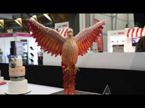 download lagu mp3 mp4 Australian Cake Decorating Championships, download lagu Australian Cake Decorating Championships gratis, unduh video klip Australian Cake Decorating Championships