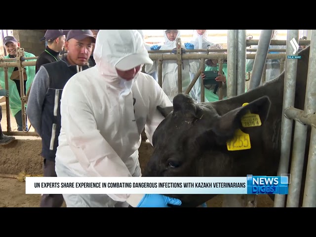 UN experts share experience in combating dangerous infections with Kazakh veterinarians