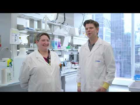 In The Lab – FISH Genetics Testing