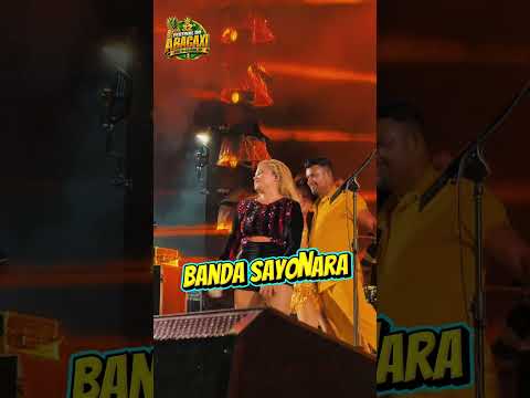 FESTIVAL DO ABACAXI🍍| PORTO GRANDE - AP