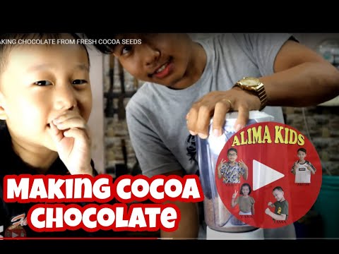 MAKING CHOCOLATE FROM FRESH COCOA SEEDS