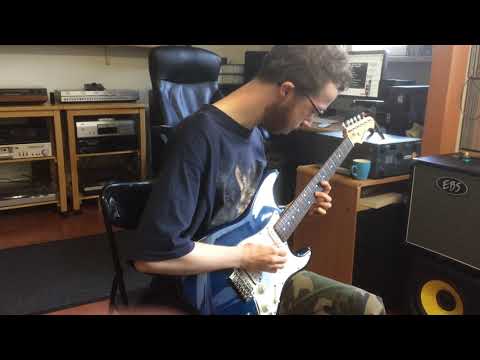 Kevin Sherwood   Dead Flowers (first solo) cover