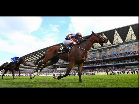 Tattersalls Gold Cup Curragh N/R DUE TO SOFT GROUND