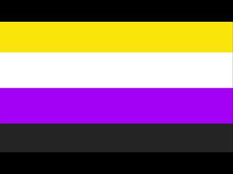 Subtle Non Binary Flag