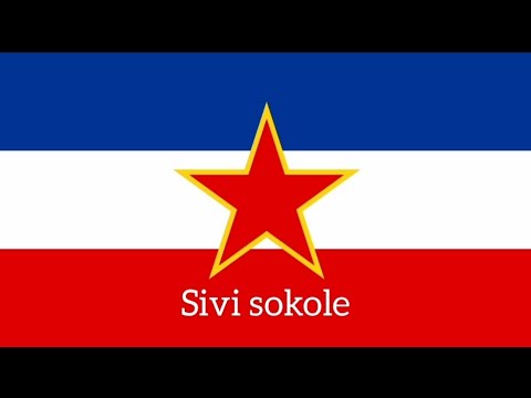 Sivi sokole - Jugoslávská partyzánská píseň 