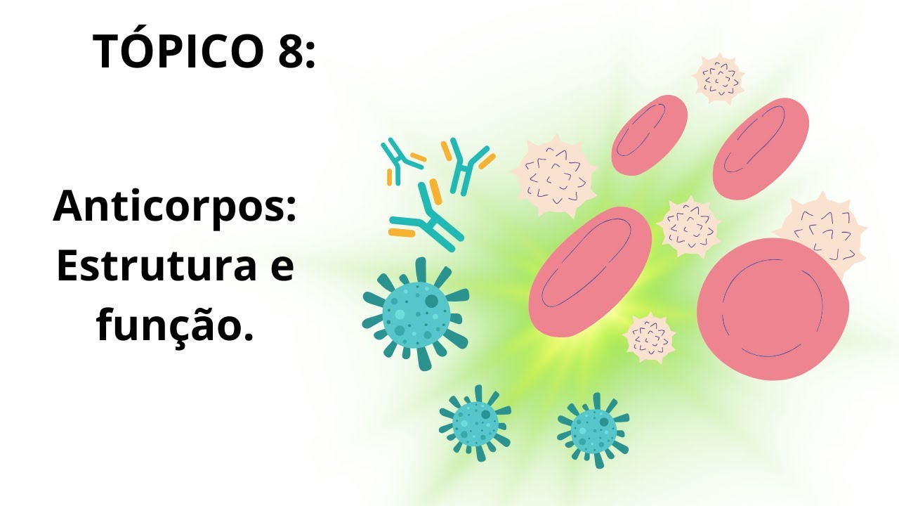 IMUNOLOGIA: Anticorpos - Estrutura e função.