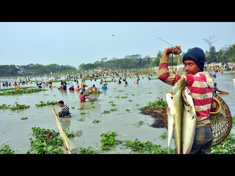 Fish Hunting Fairs,,Fishing Fairs in bangladesh,,fishing competition who will be first