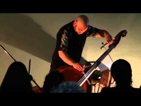 2013: Performance: Raed Yassin on Double Bass