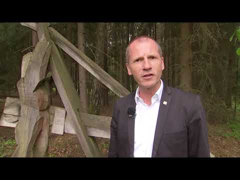 "Mein Lieblingsheiliger" - mit Stadtdekan Roman Gerl