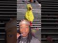 Big Bird Gets Caught Kidnapping In 4K