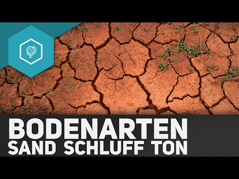 , title : 'Bodenarten: Was sind Sand, Schluff und Ton - Böden Basics 4'
