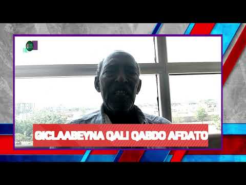 Ali Abdo Afdato - Aydadi kassis