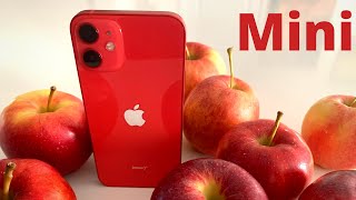 iPhone 12 MINI - When size is a factor!