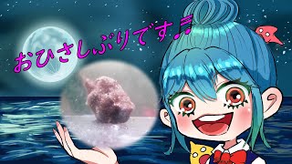 おひさしぶりのダンゴウオ動画