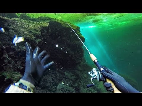 Scuba Diving and Fishing Underwater in a Crystal Clear Pond! (Caught a Fish 26ft Deep) Video
