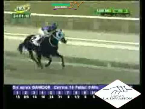 LA RINCONADA 10 CARRERA, DOMINGO 24 DE ENERO DEL 2016