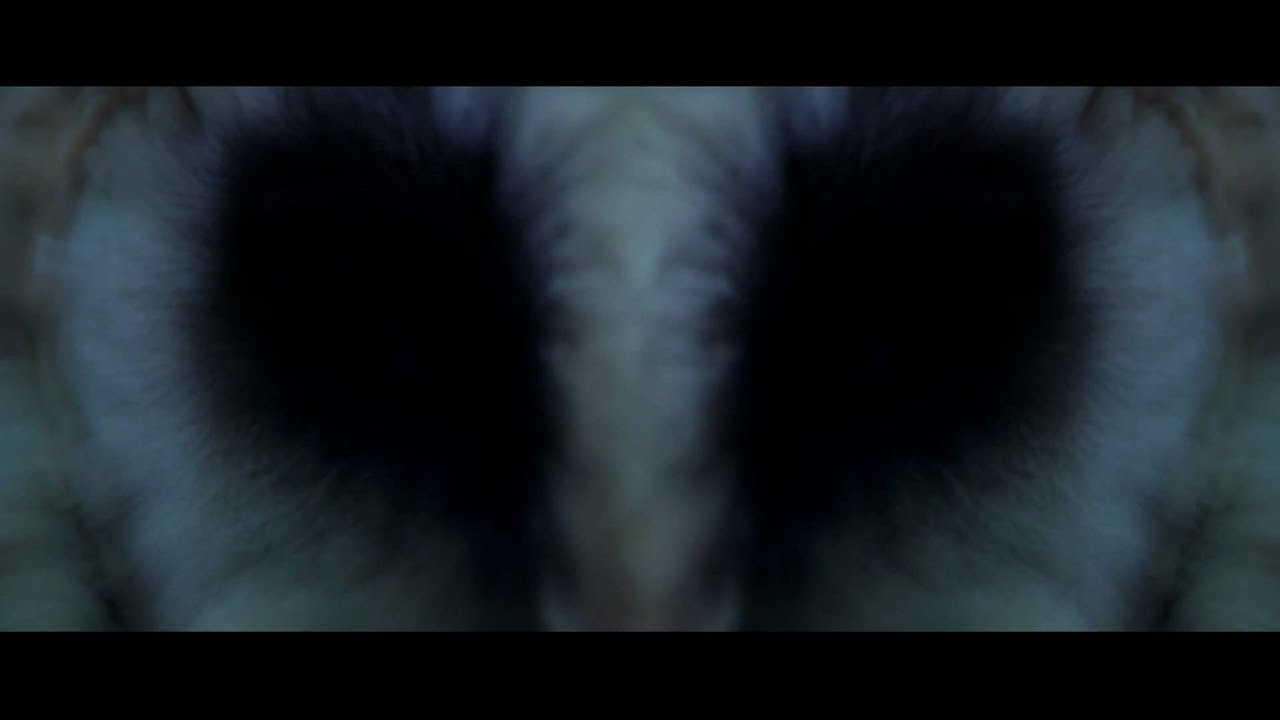 Phénomènes paranormaux - Bande Annonce [VF]