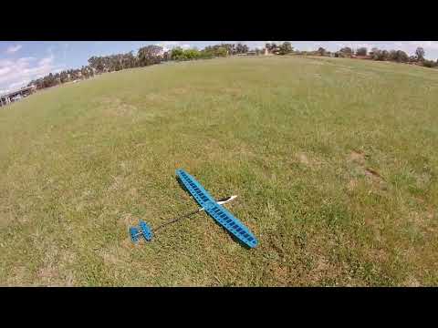 Hobby King Raven 1500 DLG