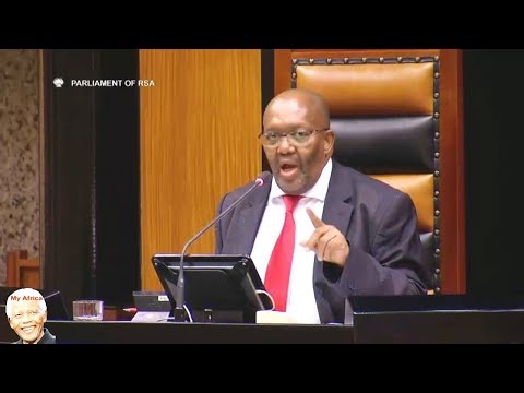 EFF Force Deputy Speaker Lechesa Tsenoli To Withdraw