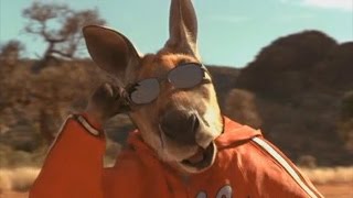 The entire Kangaroo Jack movie but it is just kang