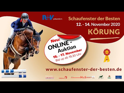 06 Quantensprung-  Hotline