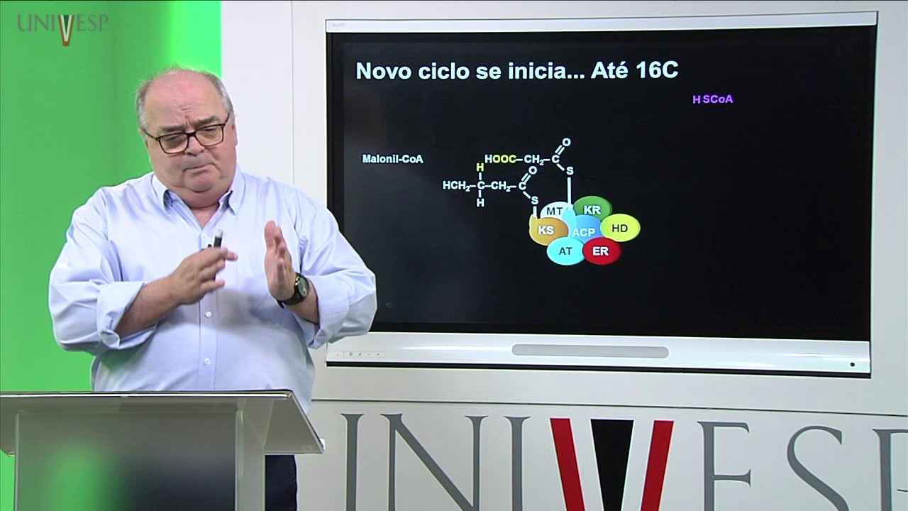 Bioquímica - Aula 19 - Biossíntese de Lipídios