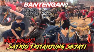 Download lagu BANTENG MBEROT!! SATRIO TRITANJUNG SEJATI || puluhan demit kuasai kalangan obrak abrik penonton!! mp3