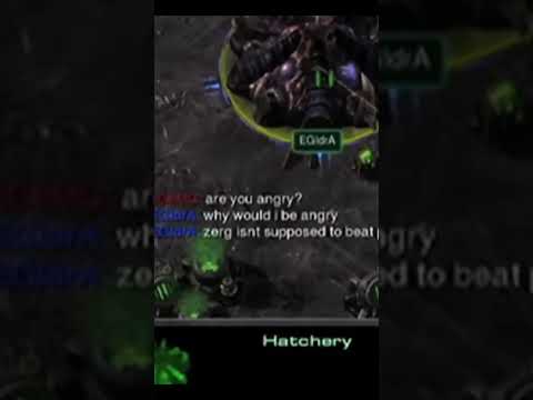 MC & idra argument about zerg and protoss in StarCraft 2