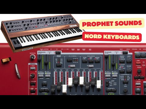 ADL023 - Dave's Legend - Sequential Prophet Sound Bank - Nord Keyboards ( 20 presets ) - Video Preview 1