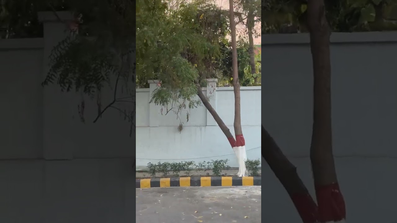 NHPC Colony Faridabad Dascam footage #dashcam #qubo #machinelearning #machannel #nhpccolony