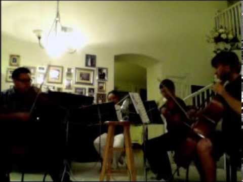 Strings Fall Out Boy Grand Theft Autumn/Where Is Your Boy Mersonacta Quartet covers acoustic version video thumbnail